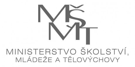MSMT_logo_text_grey_cz